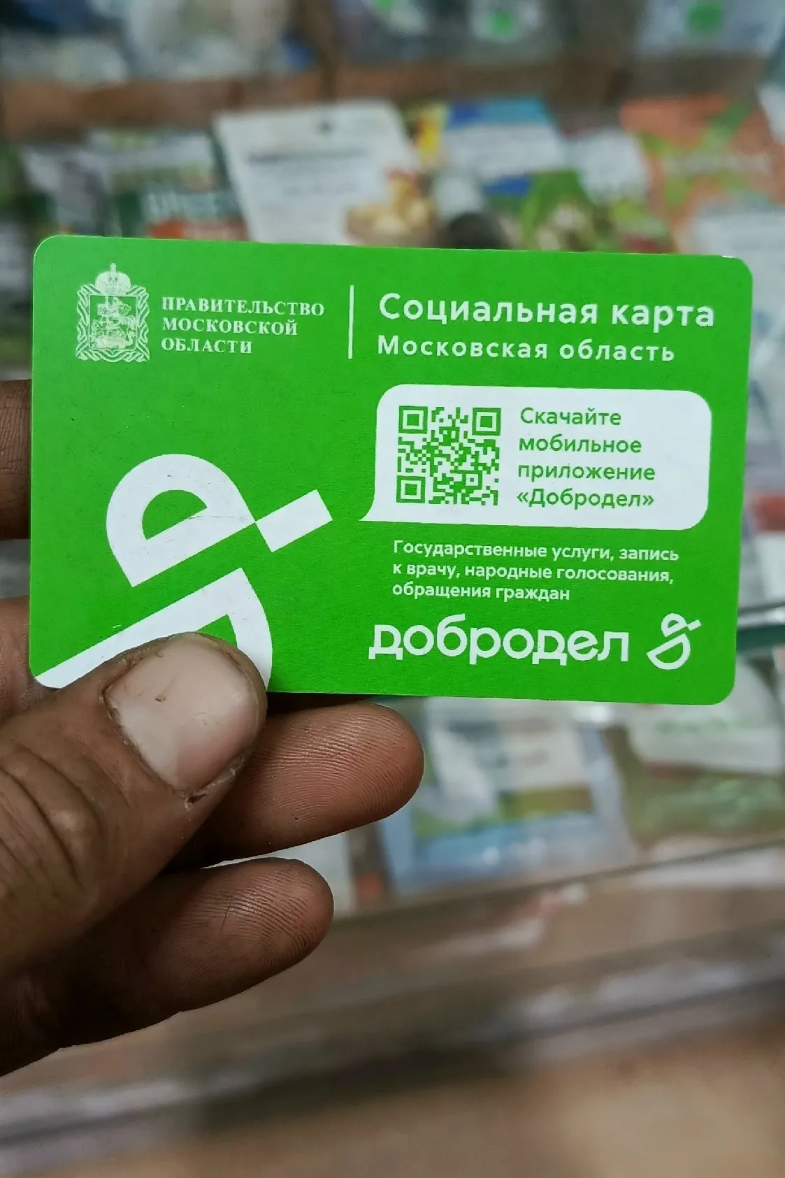 Объявление о питомце в Егорьевске — фото питомца