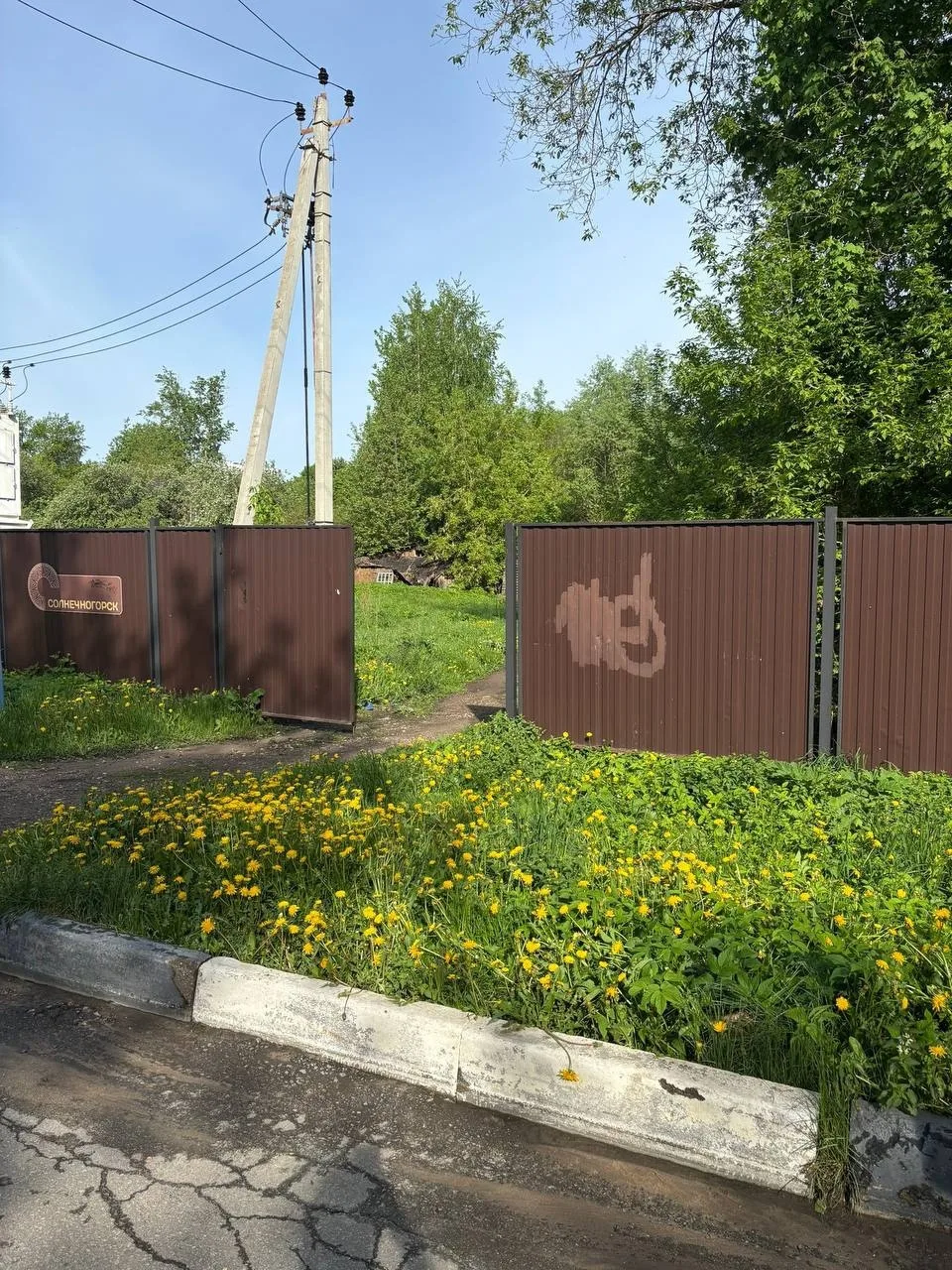 Объявление о питомце в Солнечногорске — фото питомца