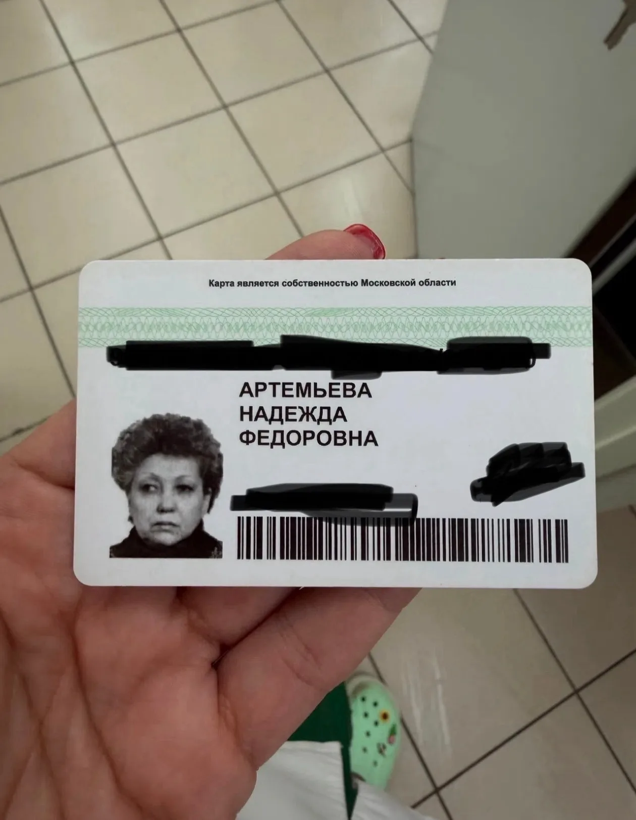 Объявление о питомце в Солнечногорске — фото питомца