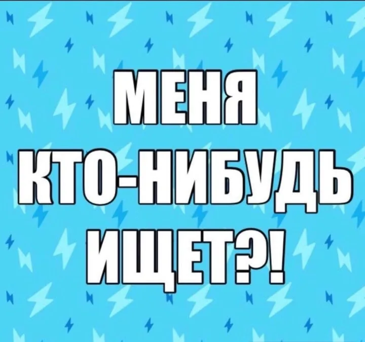 Найдена собака в Обнинске — фото питомца