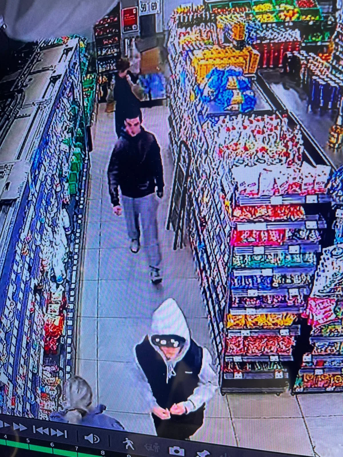 Объявление о питомце в Домодедове — фото питомца