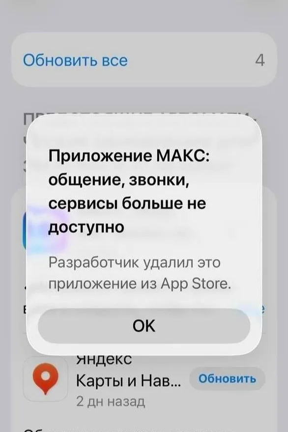 Объявление о питомце в Жуковском — фото питомца