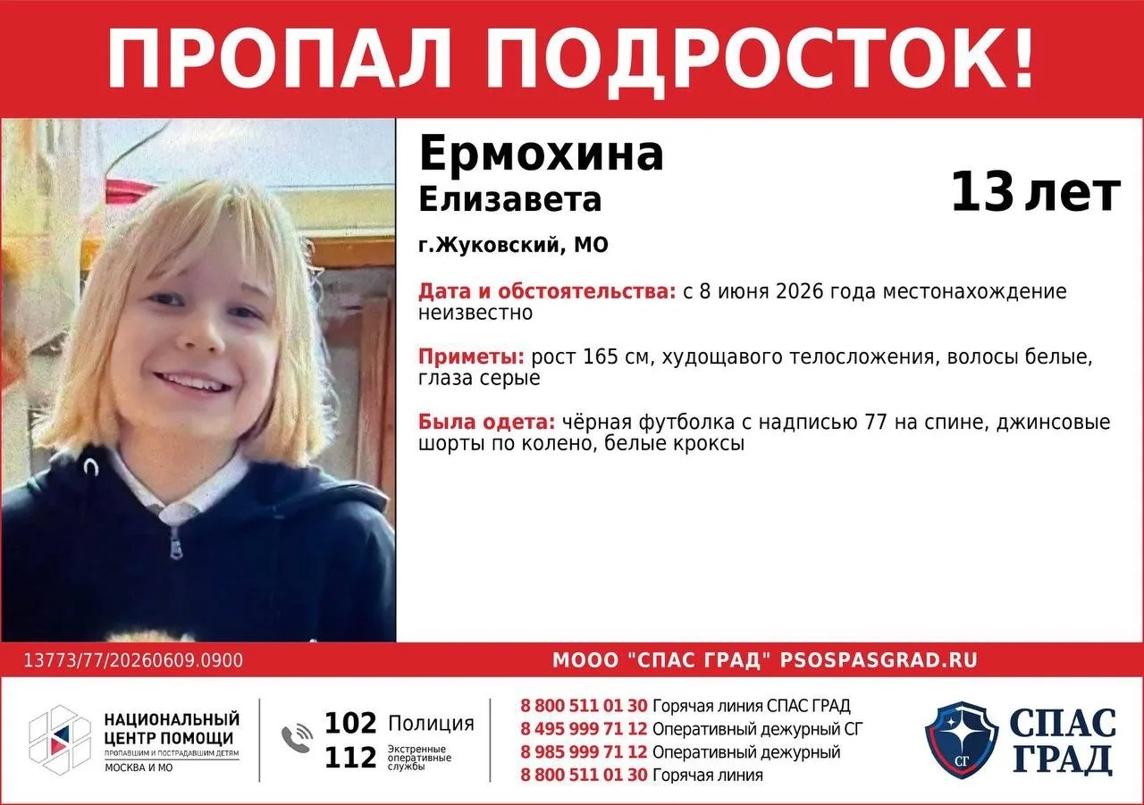 Объявление о питомце в Жуковском — фото питомца