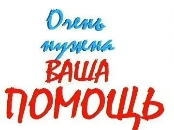 Объявление о питомце в Бердске — фото питомца