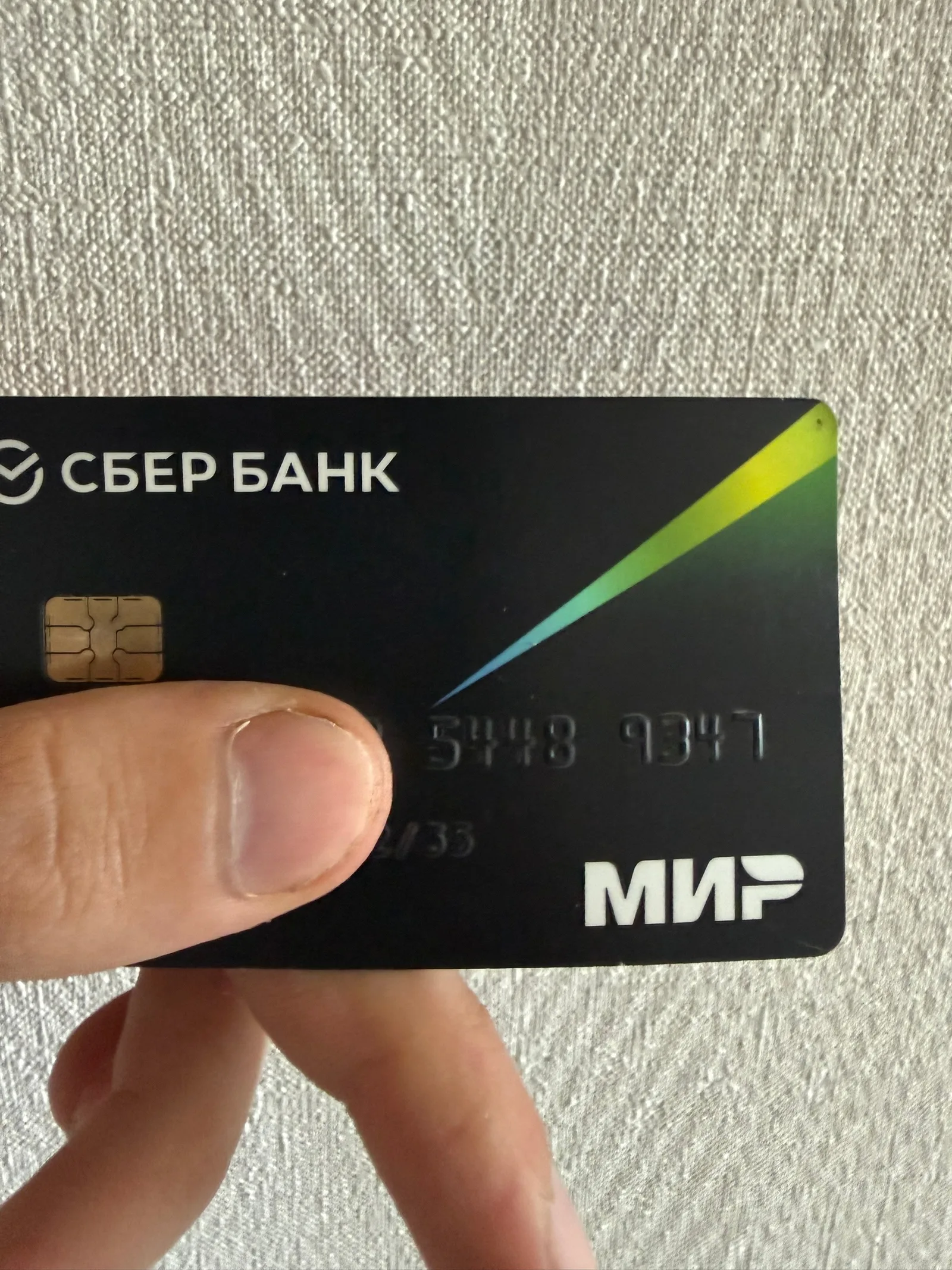 Объявление о питомце в Домодедове — фото питомца