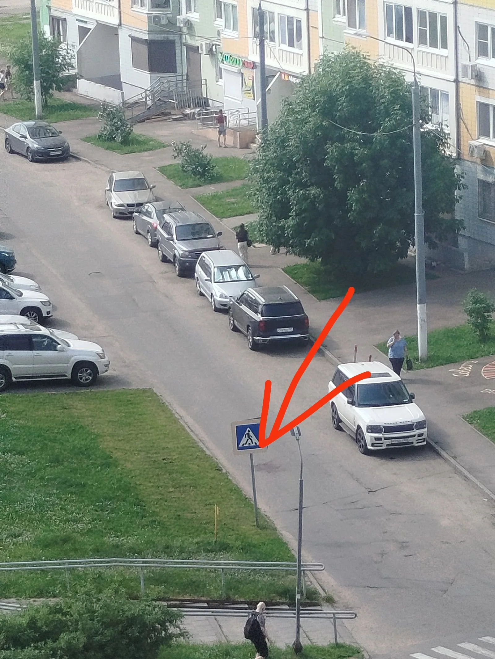 Найдена собака в Долгопрудном — фото питомца