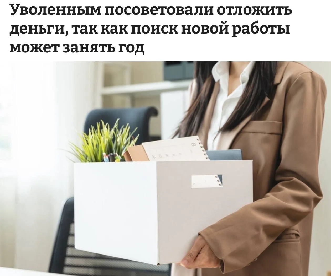 Найдена собака в Солнечногорске — фото питомца