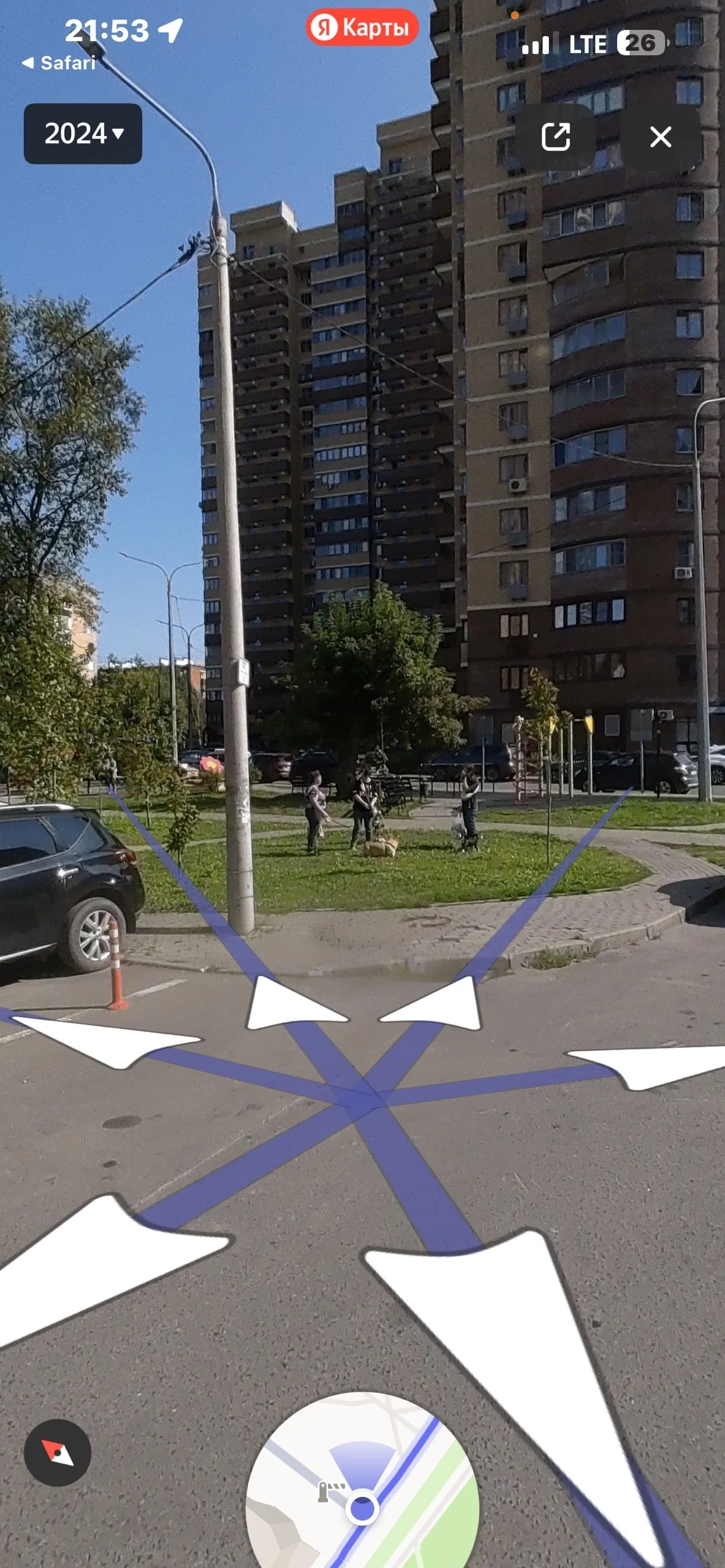 Объявление о питомце в Долгопрудном — фото питомца
