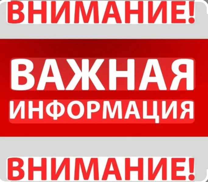 Найдена собака в Коломне — фото питомца