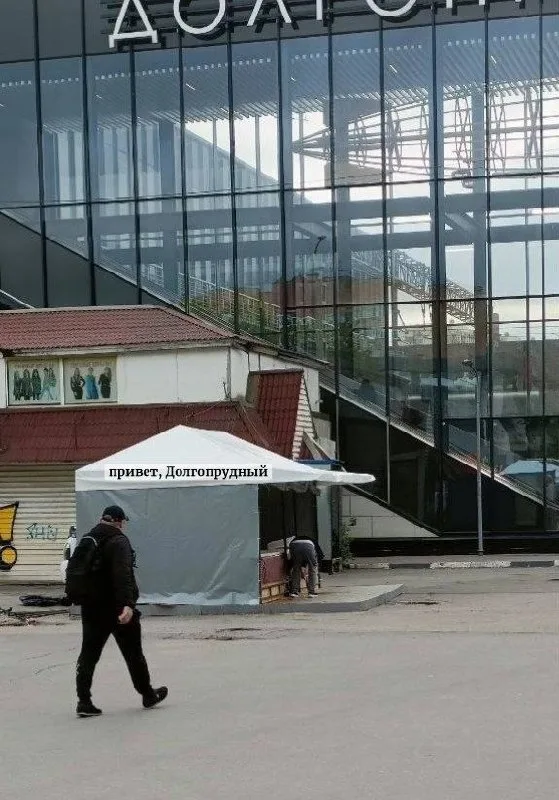 Объявление о питомце в Долгопрудном — фото питомца