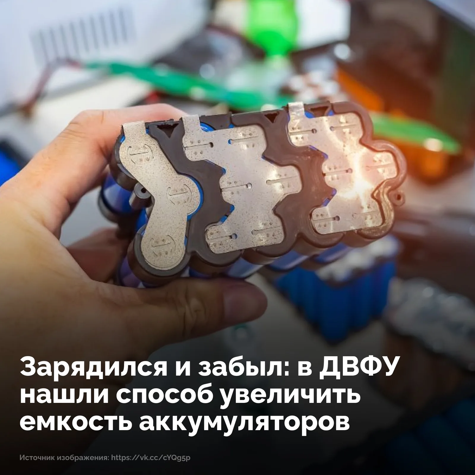 Объявление о питомце в Домодедове — фото питомца