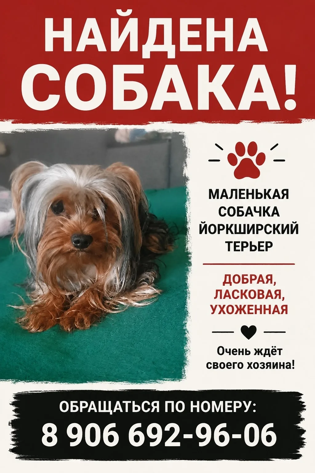 Найдена собака в Курске — фото питомца