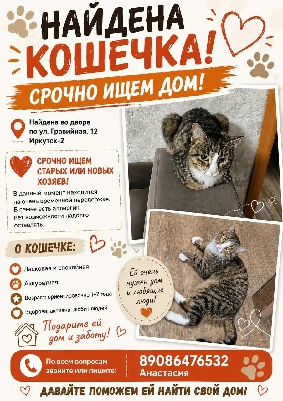 Объявление о питомце в Иркутске — фото питомца