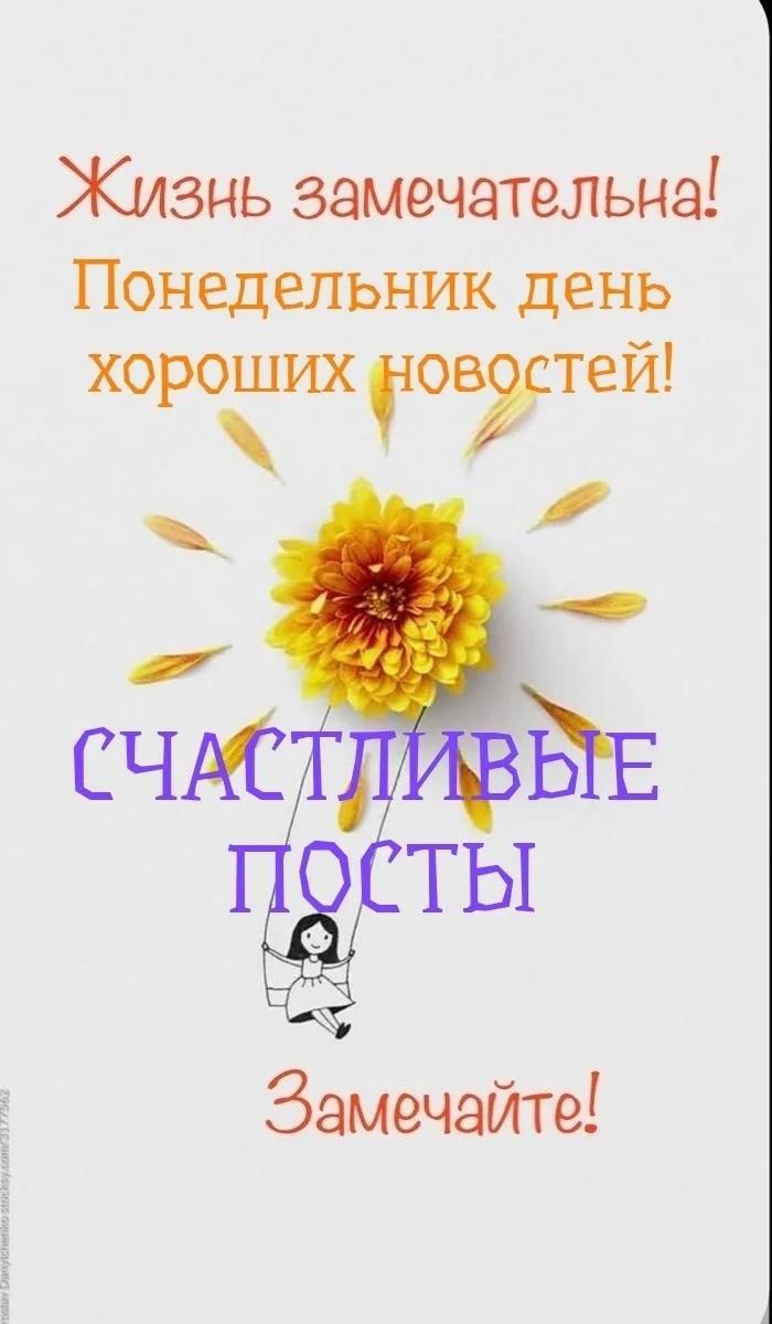 Объявление о питомце в Симферополе — фото питомца