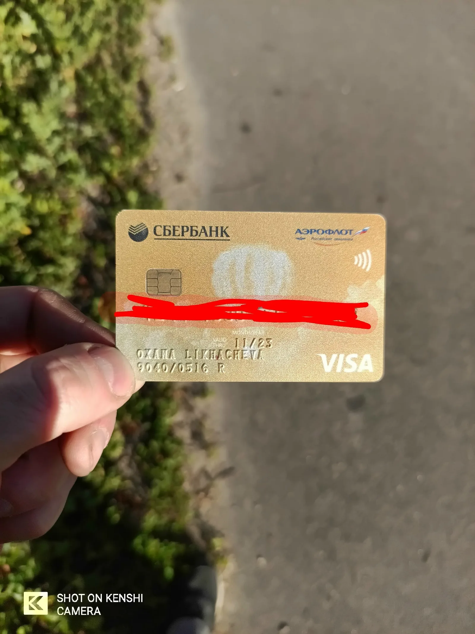 Объявление о питомце в Егорьевске — фото питомца