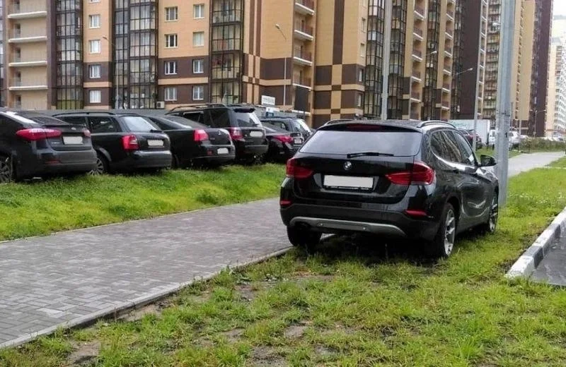 Объявление о питомце в Долгопрудном — фото питомца