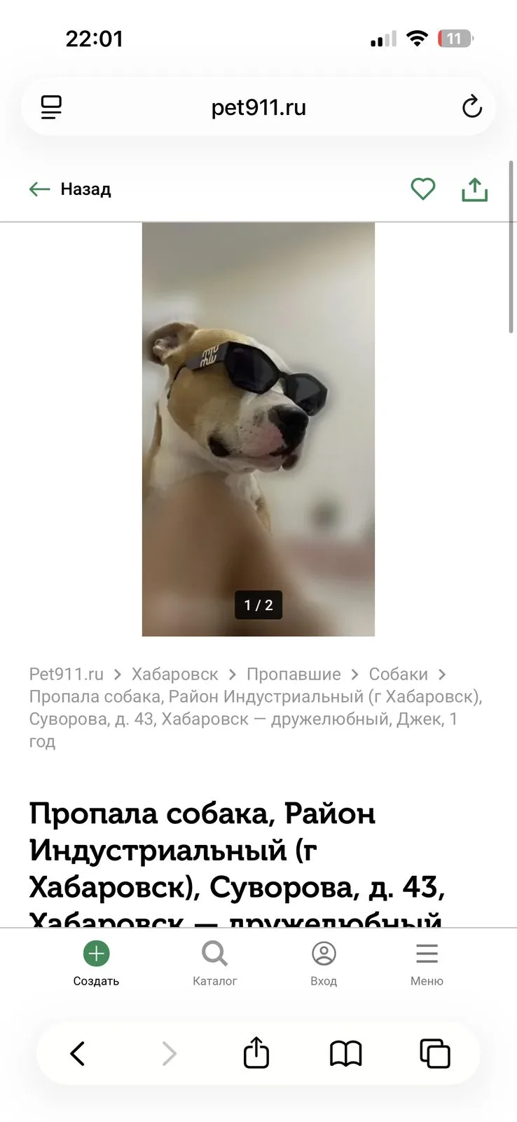 Пропала собака в Хабаровске — фото питомца