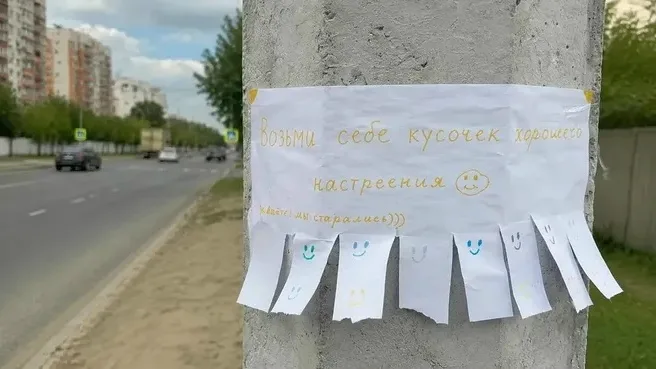 Найдена собака в Ногинске — фото питомца