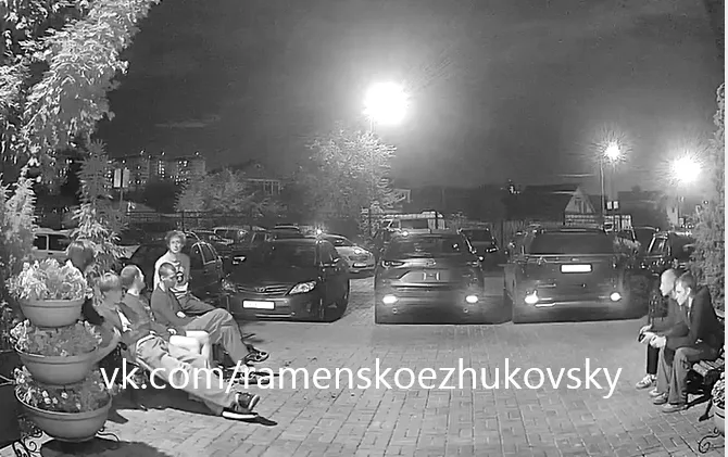Объявление о питомце в Жуковском — фото питомца