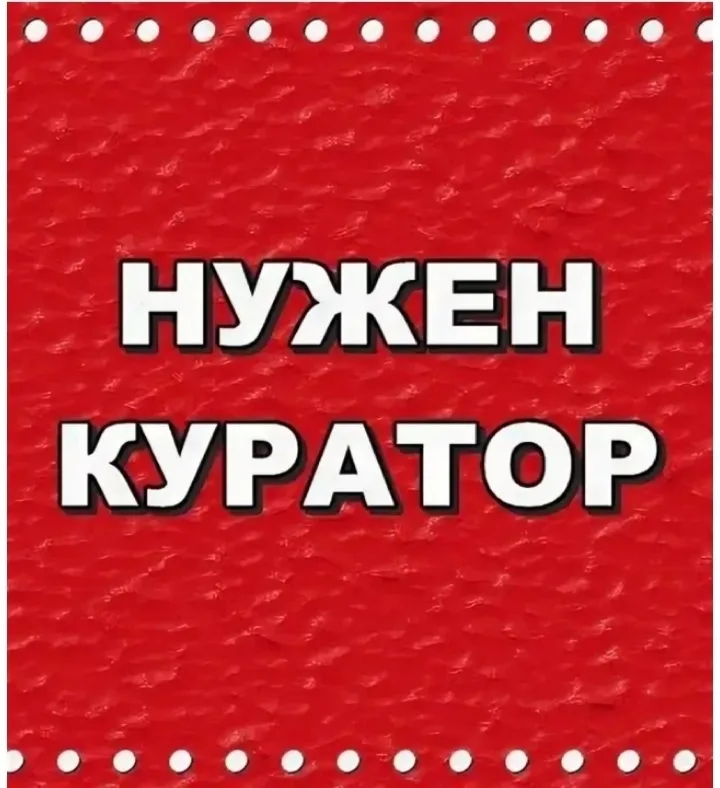 Найдена кошка в Мурманске — фото питомца