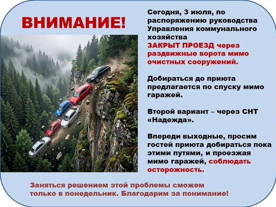 Найдена собака в Обнинске — фото питомца