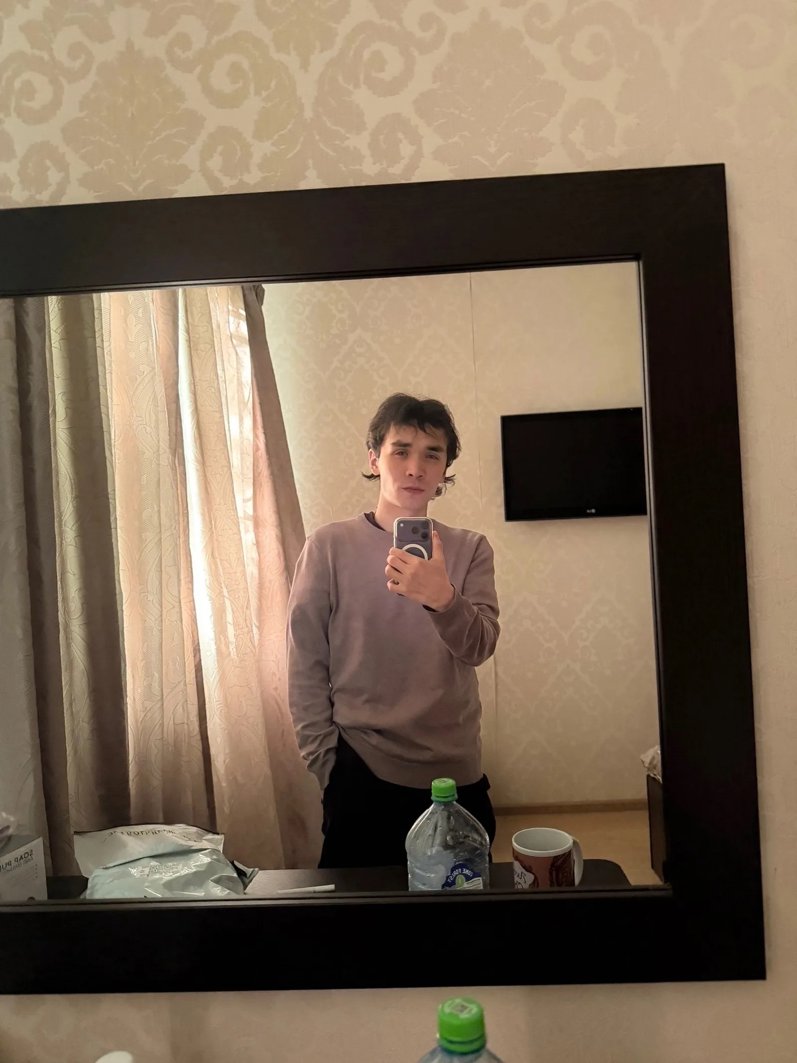 Найдена собака в Домодедове — фото питомца