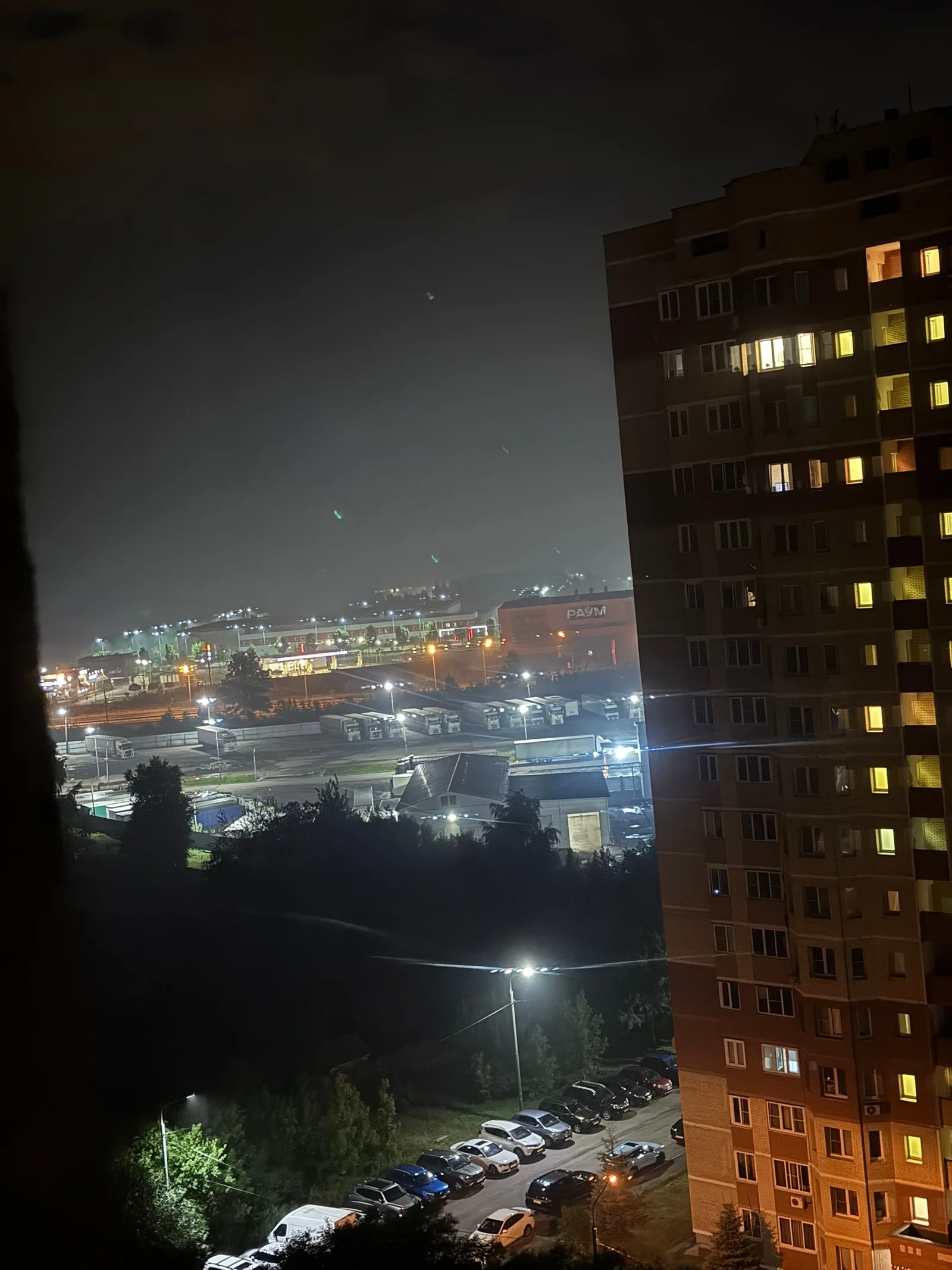 Объявление о питомце в Ногинске — фото питомца