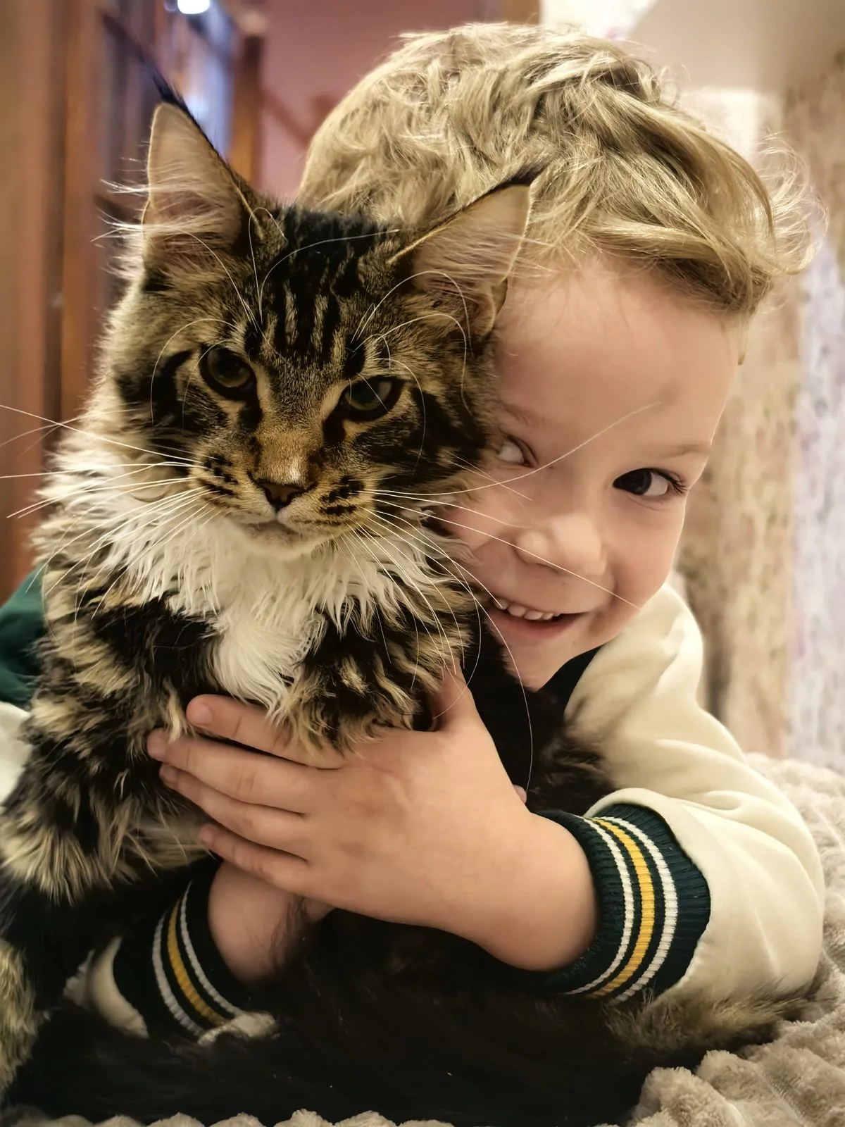 Пропала кошка в Саранске — фото питомца