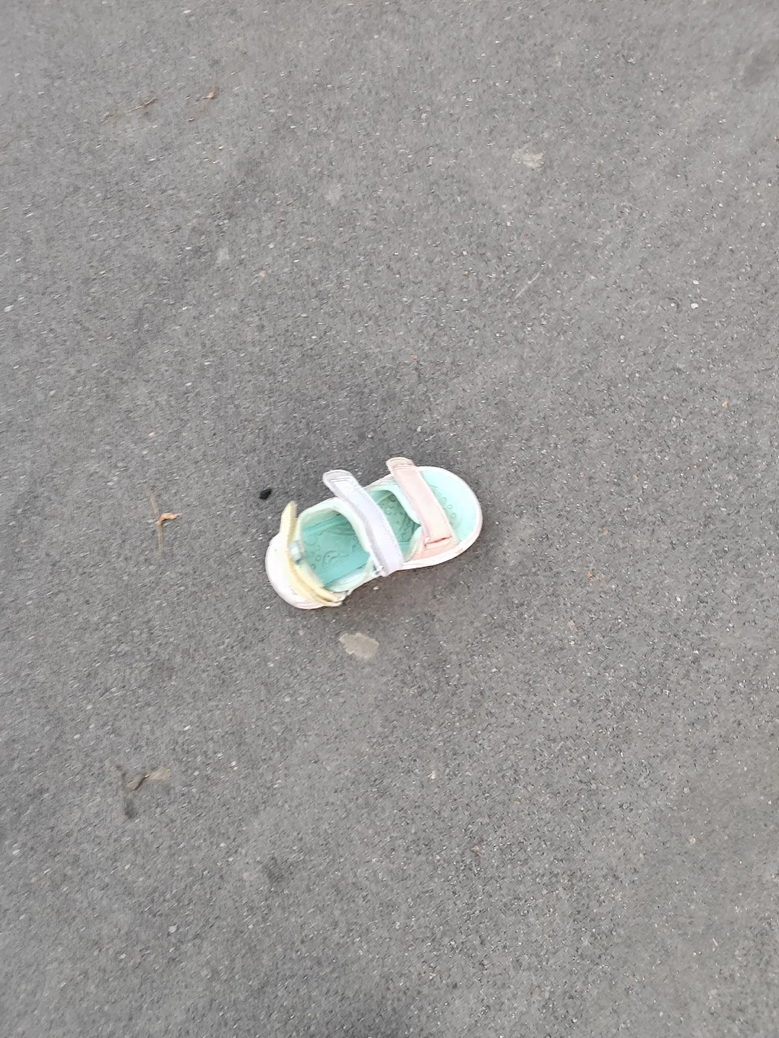 Объявление о питомце в Егорьевске — фото питомца