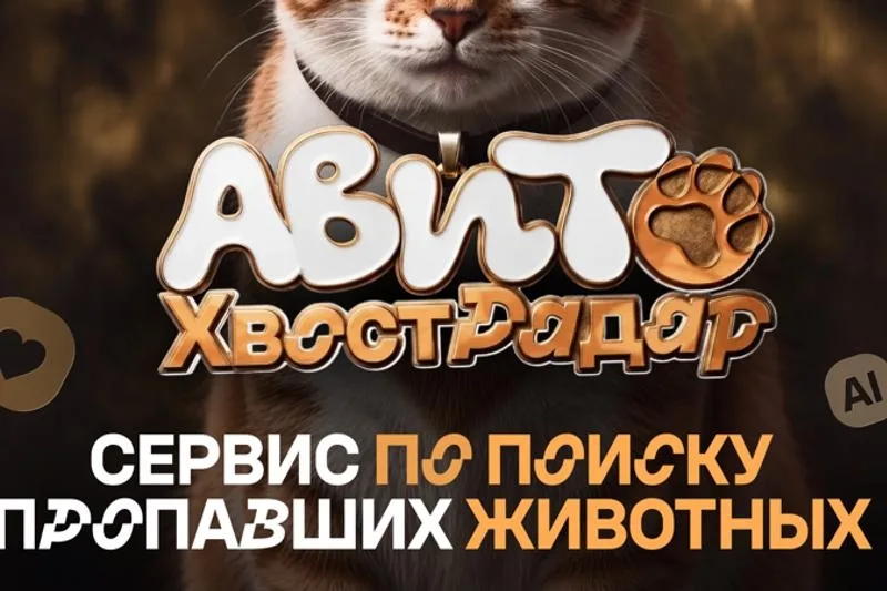 Найдена собака в Ухте — фото питомца