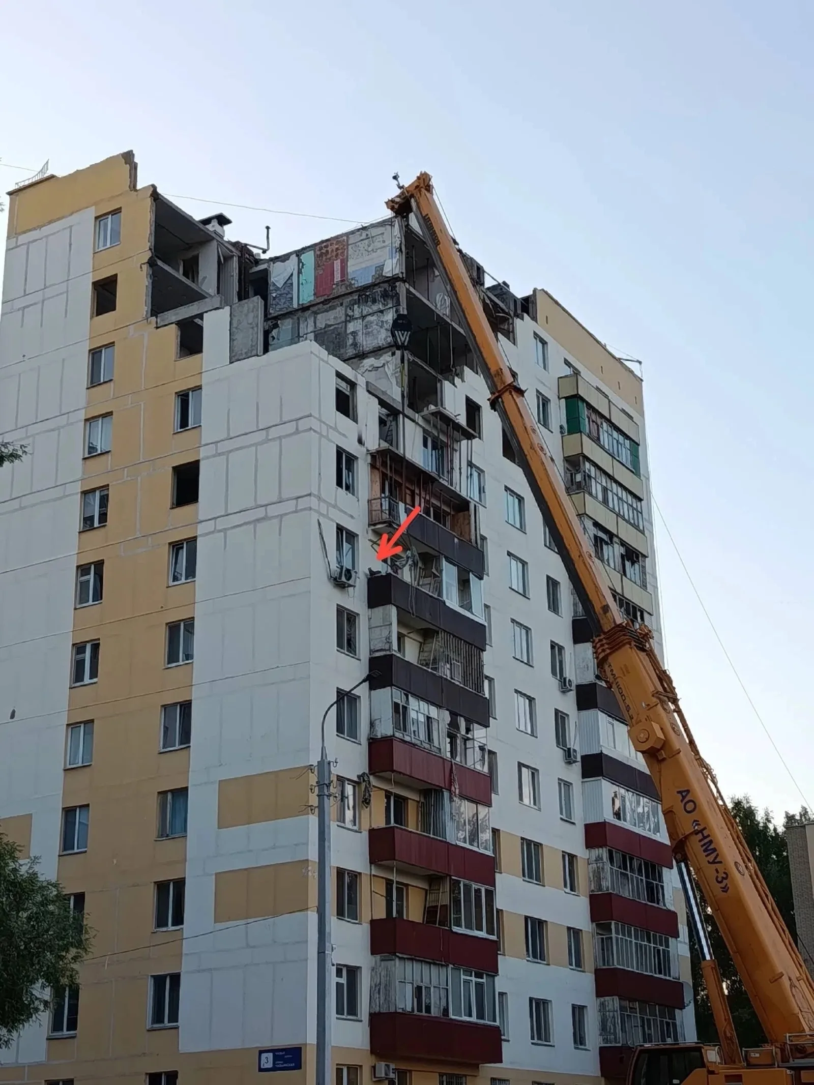 Найдена кошка в Нижнекамске — фото питомца