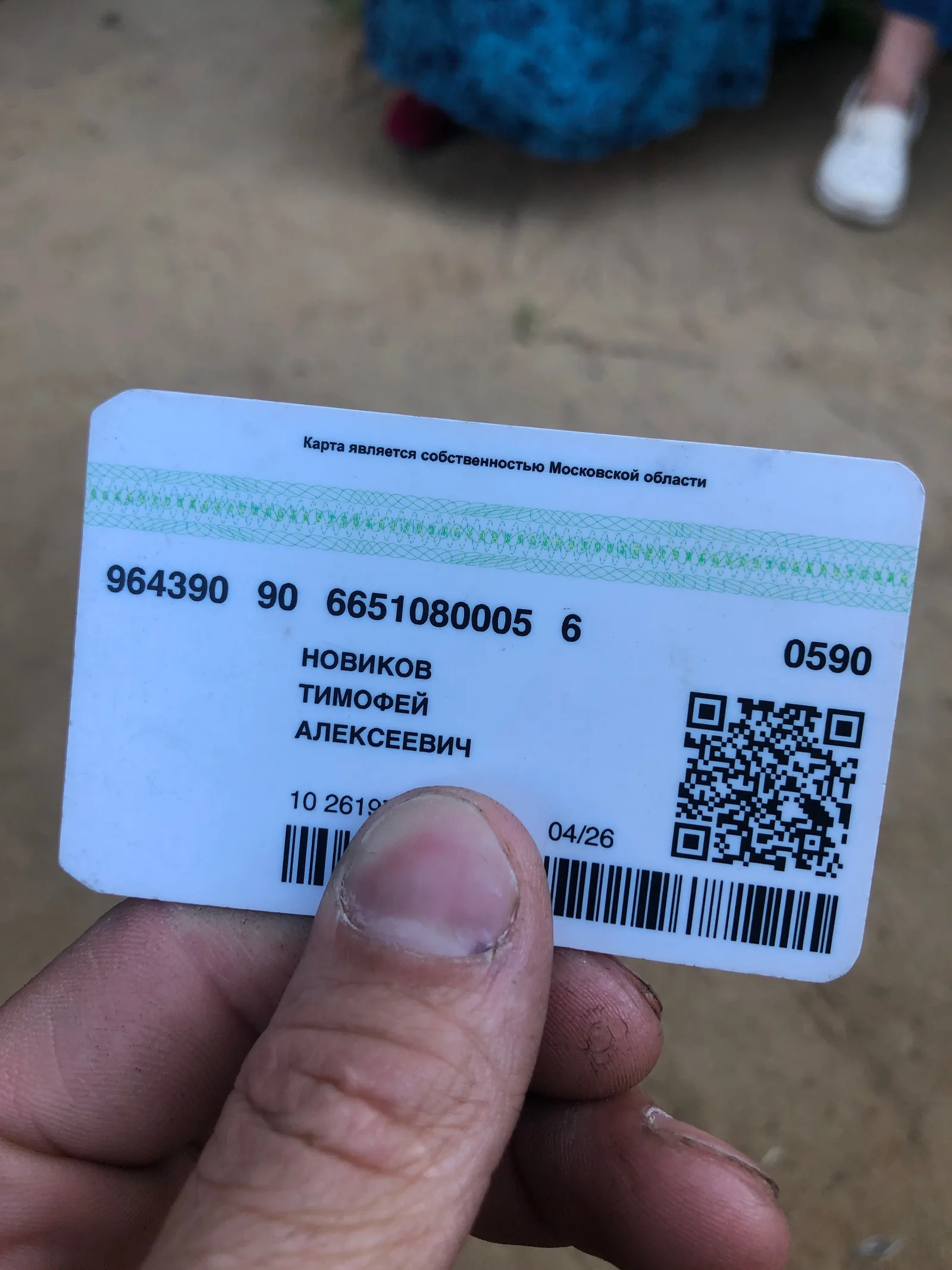 Объявление о питомце в Егорьевске — фото питомца