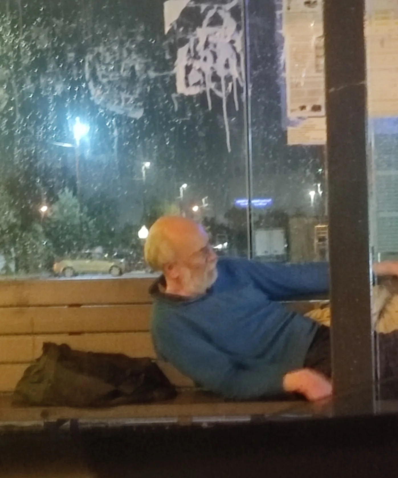 Объявление о питомце в Домодедове — фото питомца