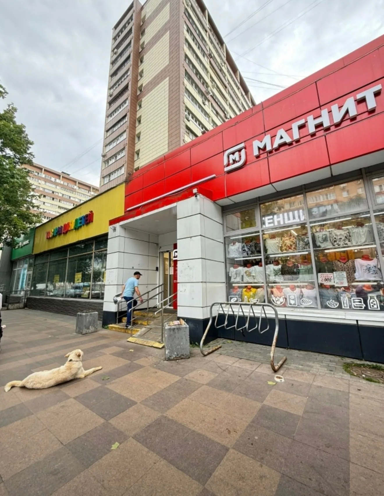 Найдена собака в Долгопрудном — фото питомца