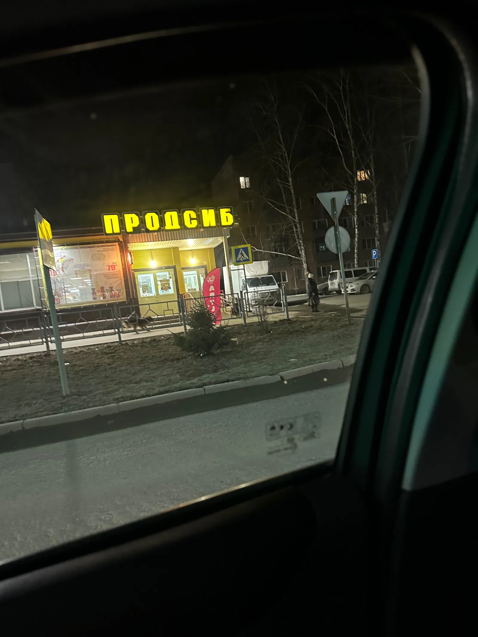 Пропала собака в Бердске — фото питомца