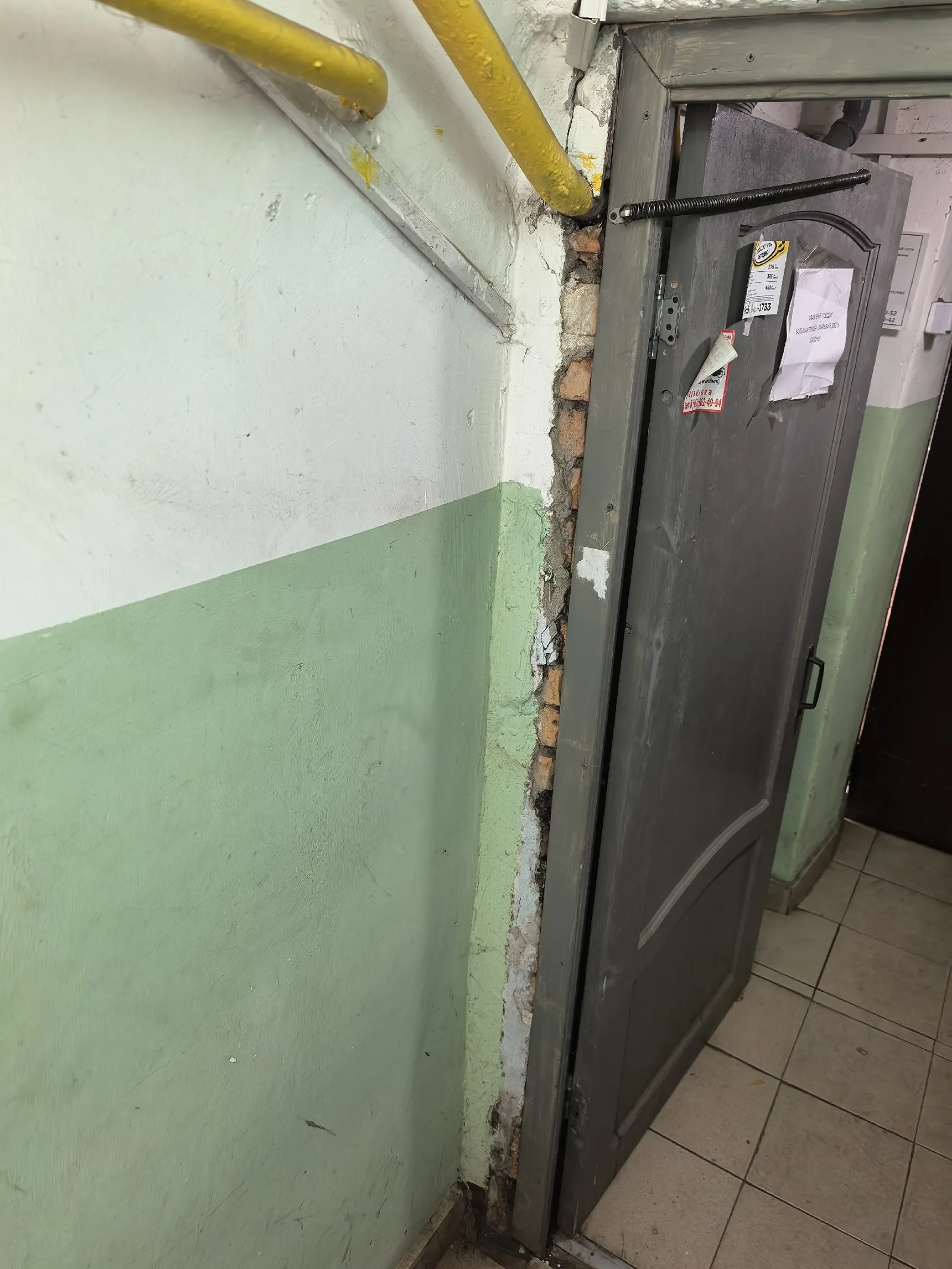 Найдена собака в Ногинске — фото питомца