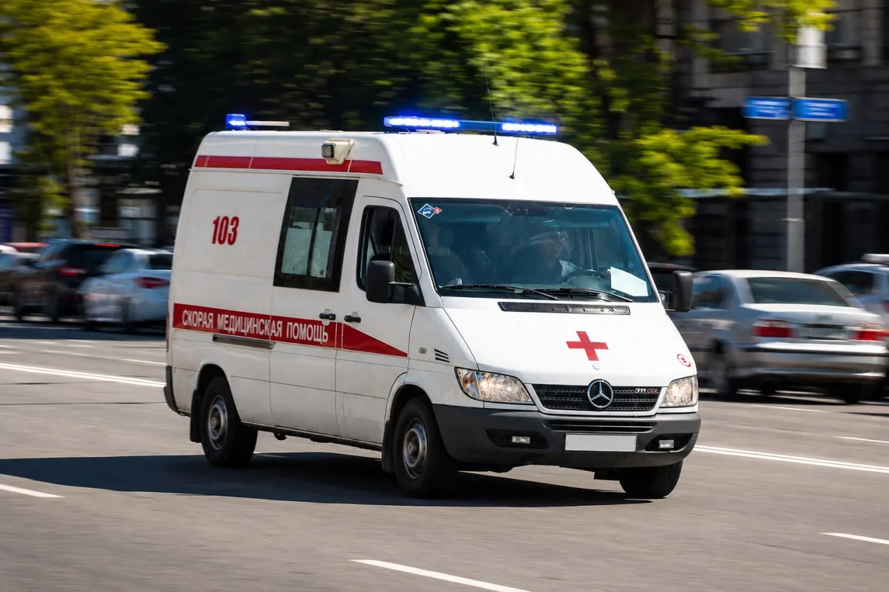 Объявление о питомце в Домодедове — фото питомца