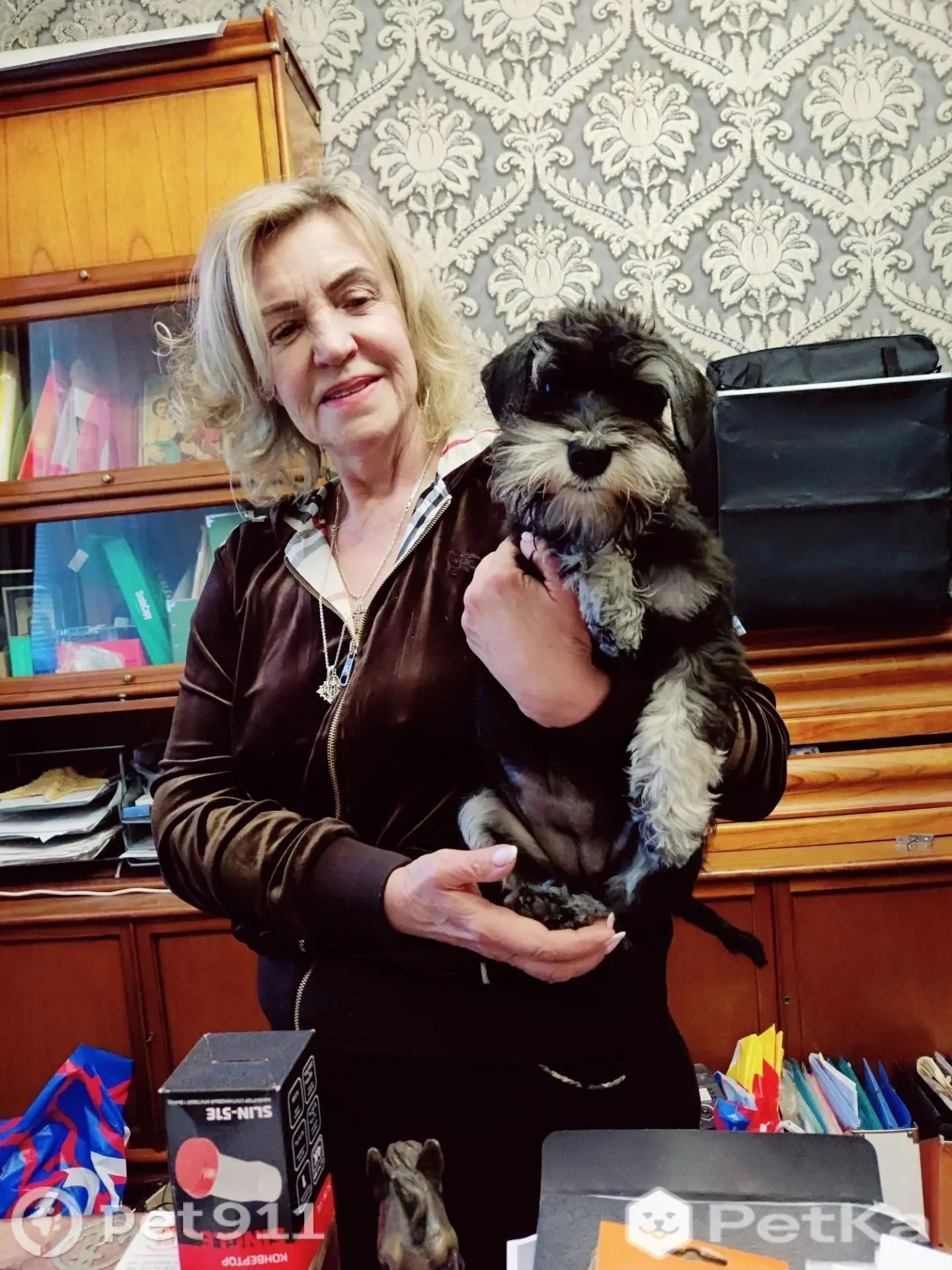 Найдена собака в Балакове — фото питомца