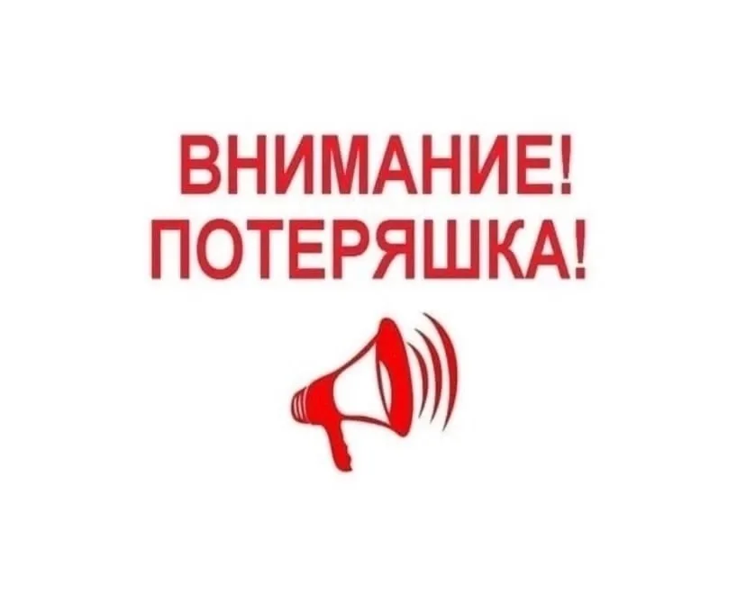 Пропала собака в Перми — фото питомца