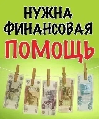 Пропала собака в Перми — фото питомца