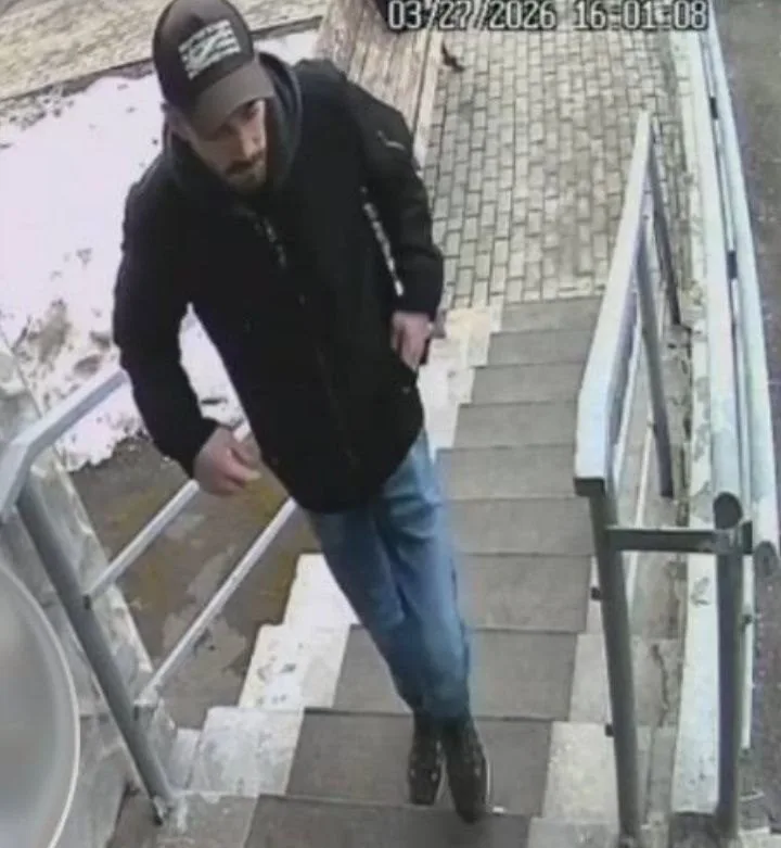 Пропала кошка в Москве — фото питомца