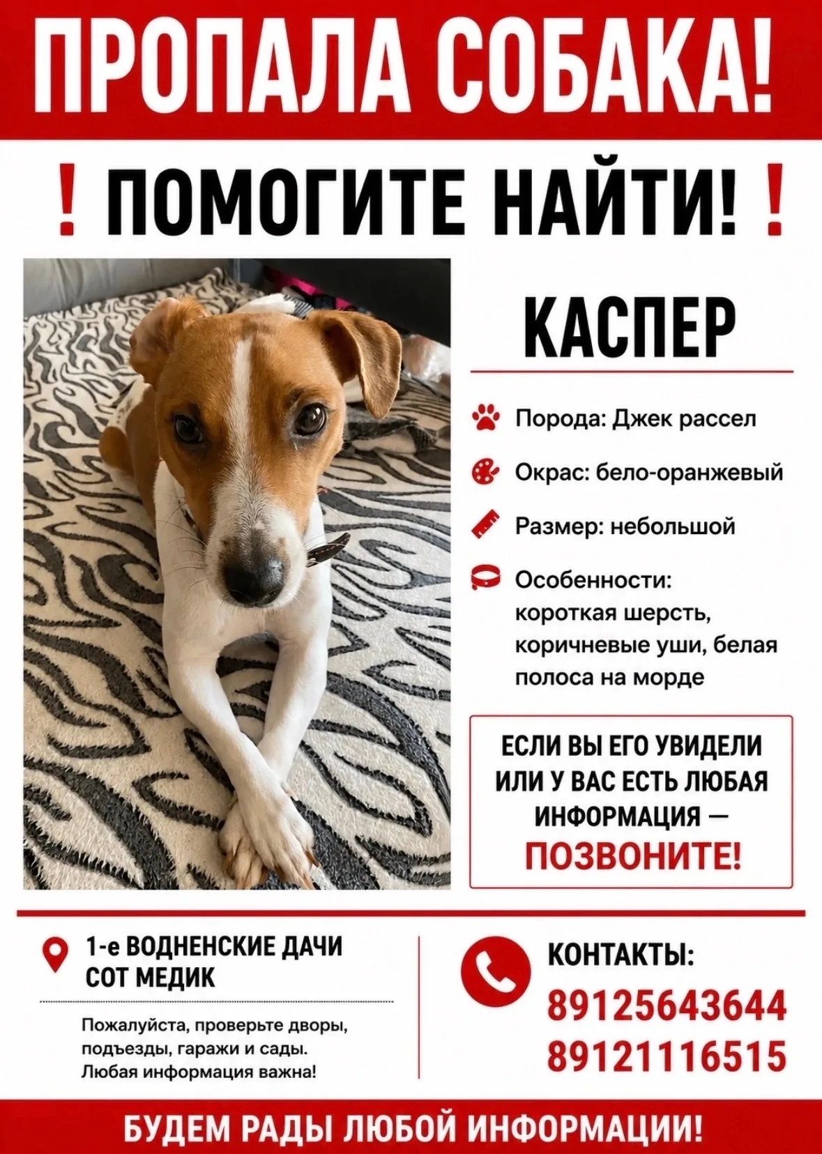 Объявление о питомце в Ухте — фото питомца