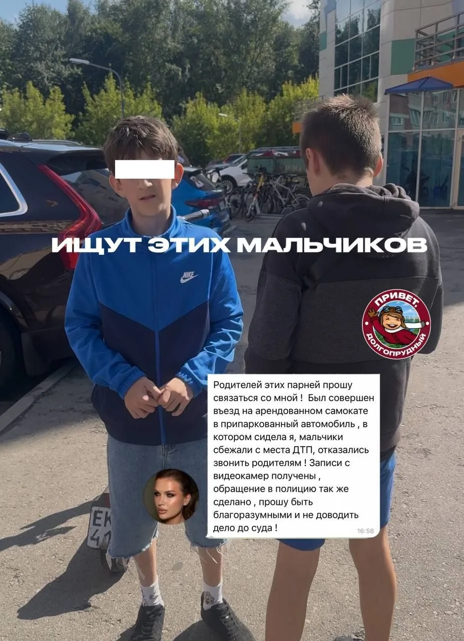 Объявление о питомце в Долгопрудном — фото питомца