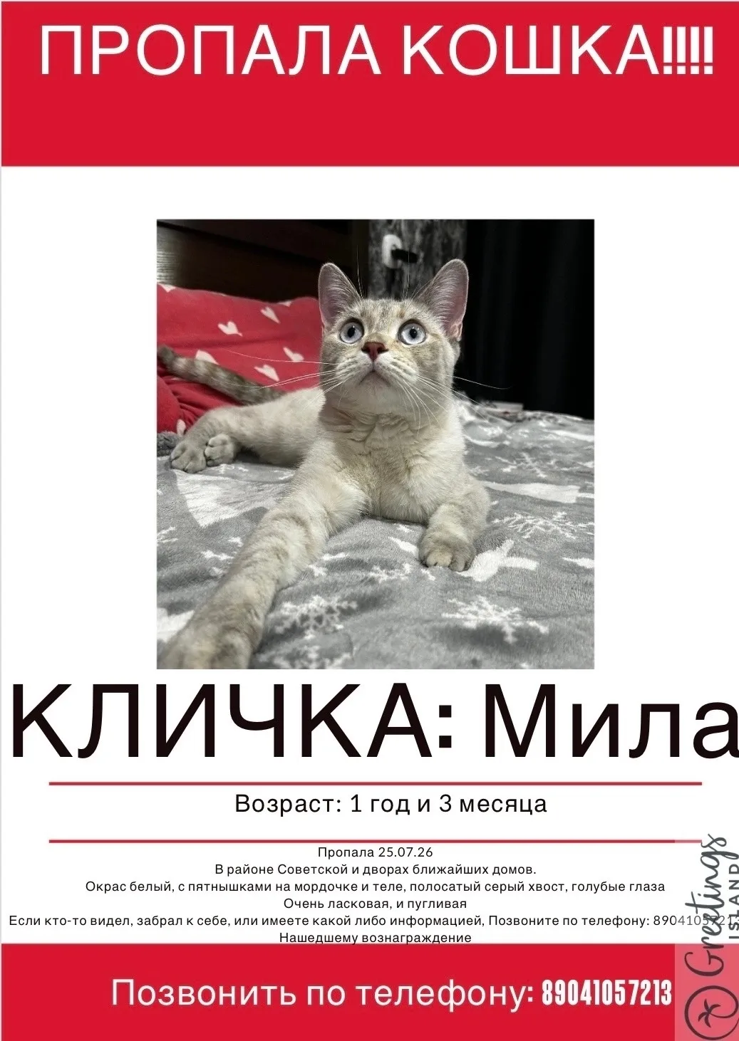 Найдена собака в Ухте — фото питомца