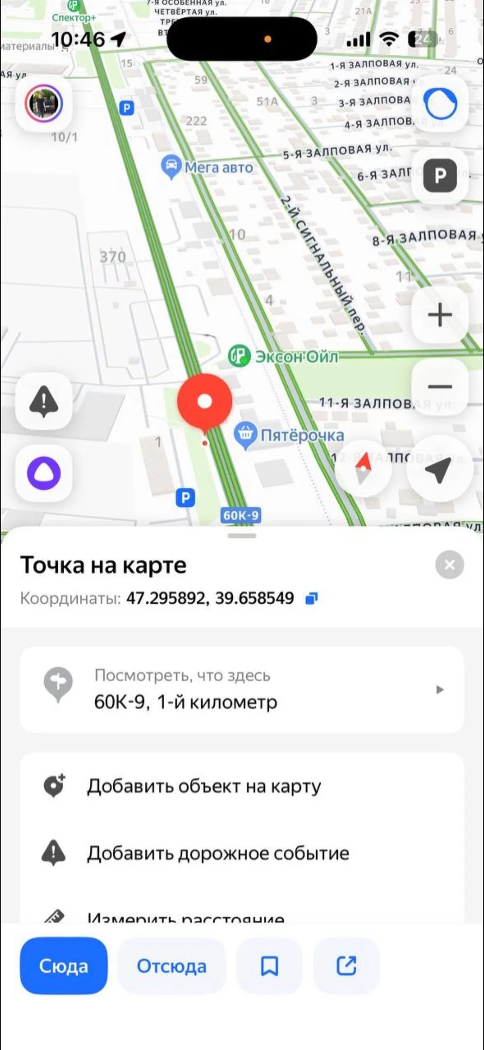 Пропала собака в Ростове-на-Дону — фото питомца