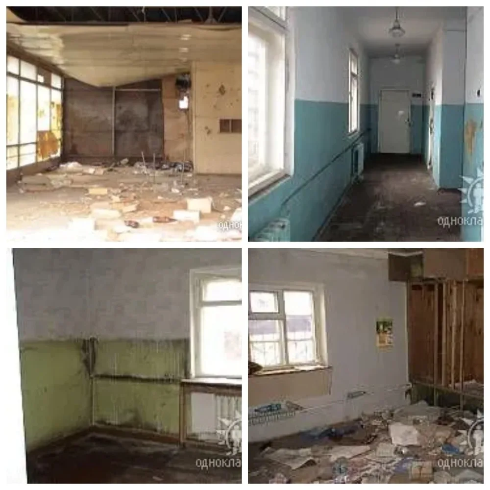 Найдена собака в Воронеже — фото питомца