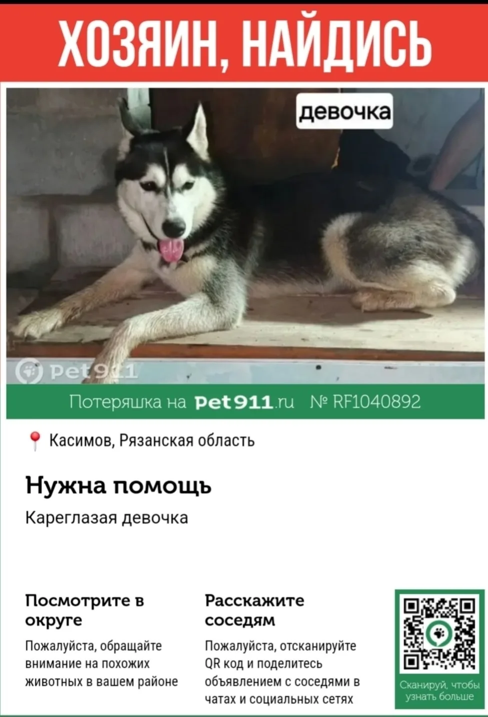 Найдена собака в Москве — фото питомца